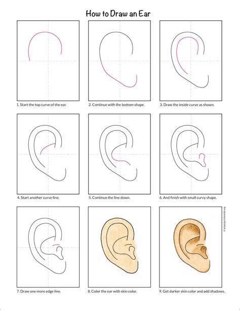 Image result for Ear Drawing Tutorial