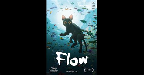 Image result for Flow in Open Rectangular Channels with a Rectangular Step
