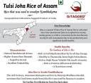 GiTAGGED Tulsi Joha Rice of Assam (Premium Nutritious Aromatic Rice ...