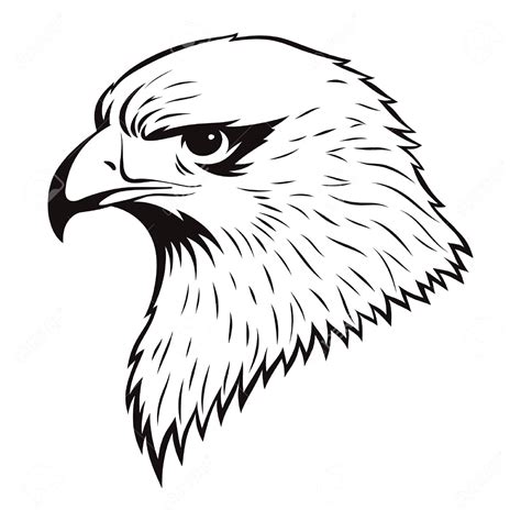 Eagle Drawing Images at GetDrawings | Free download