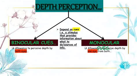 Image result for Perception of Distance