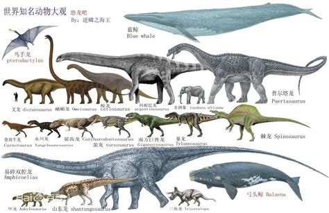 恐龙灭绝的原因，发现了3000多具恐龙化石！_自然之谜_GIFQQ奇闻娱乐网
