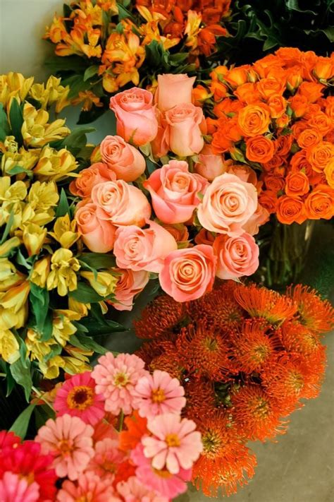 Sip and Stem, 103 N. Trenton Street, Ruston, LA, United States ...