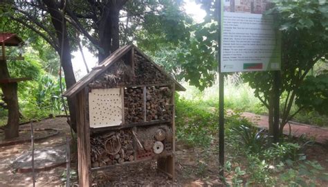 Manav Rachna Vidyanatariksha - Manav Rachna Educational Institutions