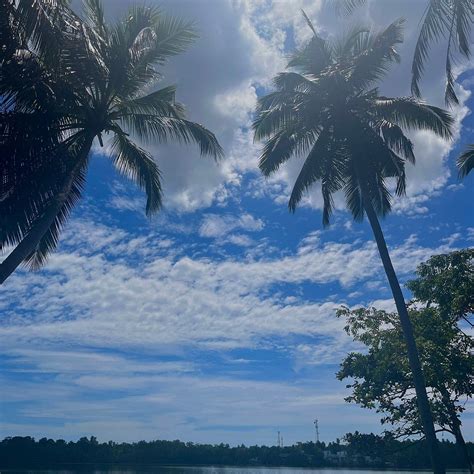 THE ISLAND ON BOLGODA (Piliyandala) - Specialty Inn Reviews & Photos ...