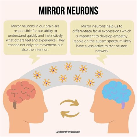 Mirror Neurons in our brains are responsible for our ability to understand quickly and ...