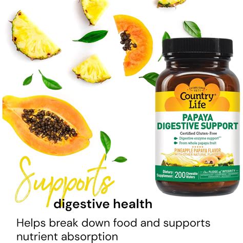 Country Life, Papaya Digestive Enzymes Support, Daily Enzymes to Promo ...