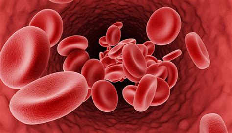 International Thalassemia Day - 8 th May 2021-“Addressing Health ...