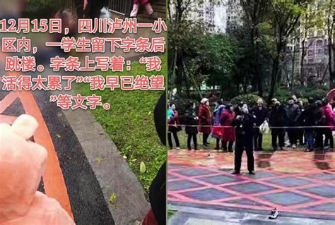 【重庆又现跳楼砸人事件，建议国家立法对跳楼者家属追责，避免类似事件再次上演】 - 哔哩哔哩
