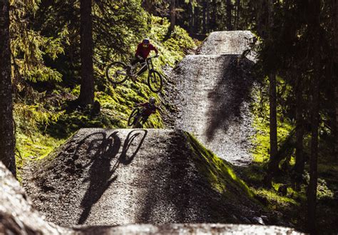 Lines & Trails | Bikepark Leogang