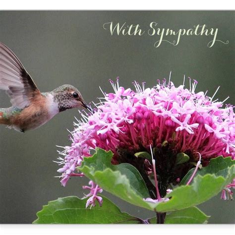 Image result for Hummingbird Card