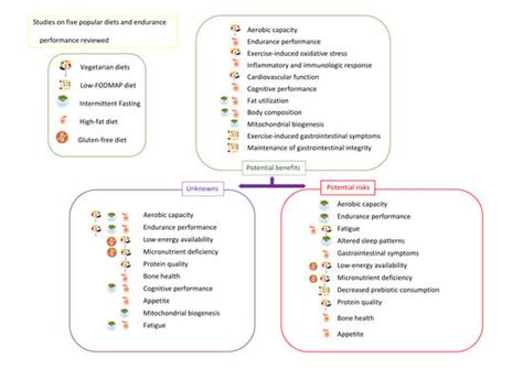 Efficacy of Popular Diets Applied by Endurance Athletes on Sports ...