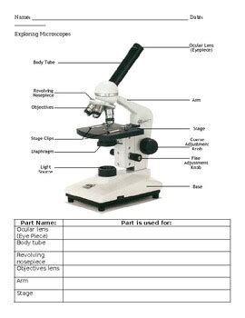 Microscope Lab Activity 的图像结果