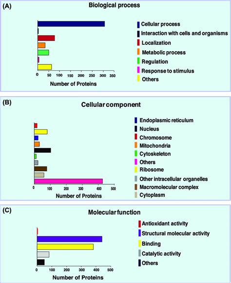 Image result for Go Annotation