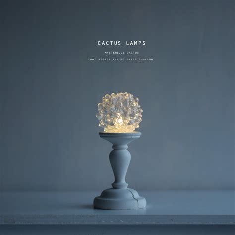 仙人掌灯（金鯱） | echidna