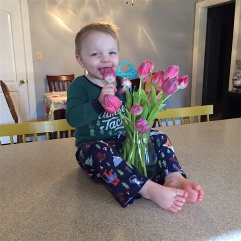 Image result for Spring Break Highlights