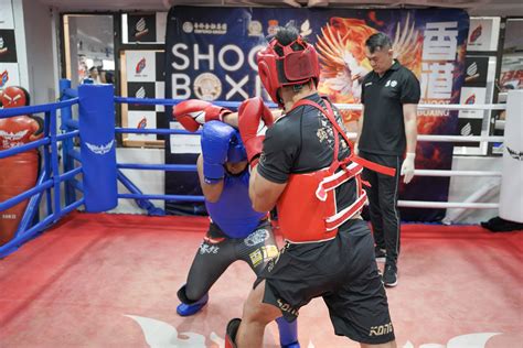 Boxing Match Card 的图像结果