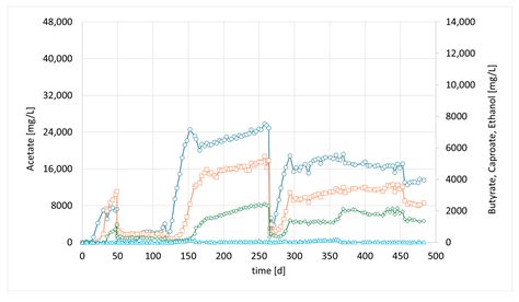 Enhancing Gas Fermentation Efficiency via Bioaugmentation with ...