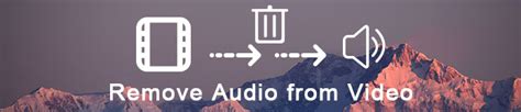 Image result for Remove Audio From Video Software
