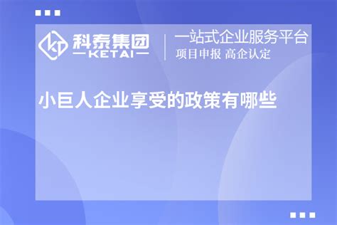 天津市第四批专精特新“小巨人”企业名单公示，共64家企业进入名单-企查查