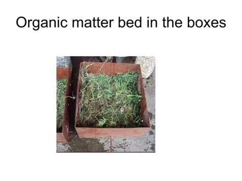 Image result for Images of Sheet Composting Method