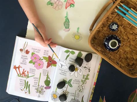 PaintBasket Tutorials 的图像结果