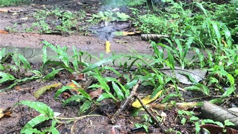 Image result for Exploding Pools