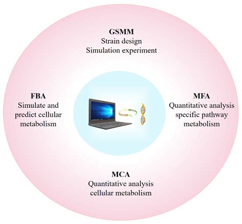 Application of Cyanobacteria as Chassis Cells in Synthetic Biology | MDPI