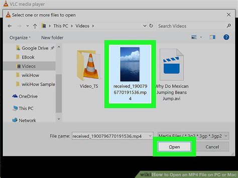 Image result for How to Open MP4 1 File