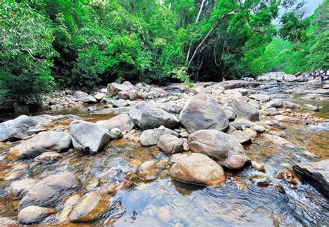 Resorts in Kallar | The Forrest Inn