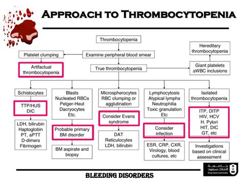 PPT - Bleeding Disorders “ Made Easy” PowerPoint Presentation, free download - ID:594618