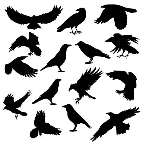 flock of raven and crow birds 5519360 Vector Art at Vecteezy