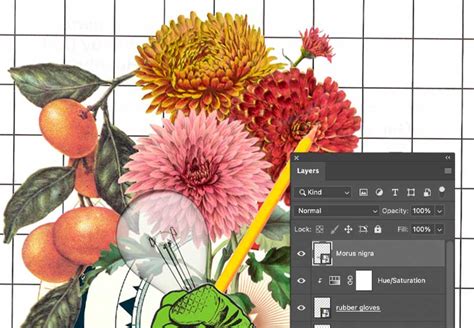 Image result for Collagerator Tutorial
