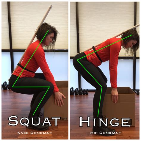 Cable Hinge Exercise at Lauren Murphy blog