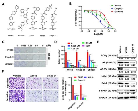 Targeting Feedforward Loops Formed by Nuclear Receptor RORγ and Kinase ...