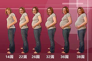 各阶段孕囊大小都有对照表，50天时尺寸不能低于这个标准_家庭医生在线