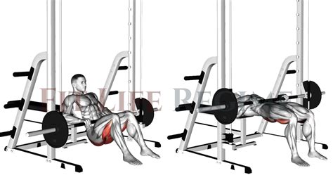 Smith Machine Hip Thrust: How To Do, Muscles Worked - All For One