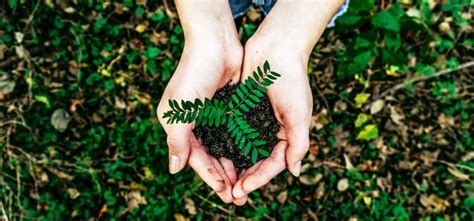 5 EcoFriendly Hacks For Every Indian Man