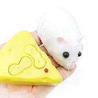 Dorakitten Remote Control Rat Wireless Interactive Lifelike Electric ...
