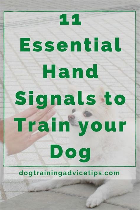 Image result for Common Hand Signals for Dogs Sheet