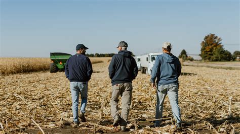 Corn Diseases: Treatment and Control