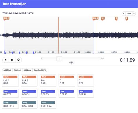 Image result for Tune Transcriber