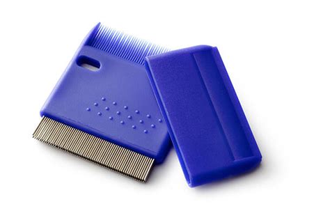 Image result for Nit Comb