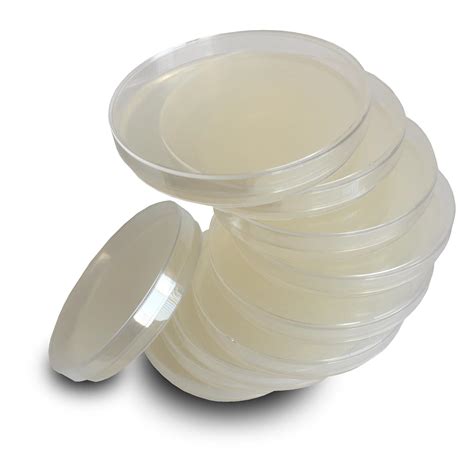 Nutrient Agar Plates by Evviva Sciences - Sterile Prepoured Nutrient ...