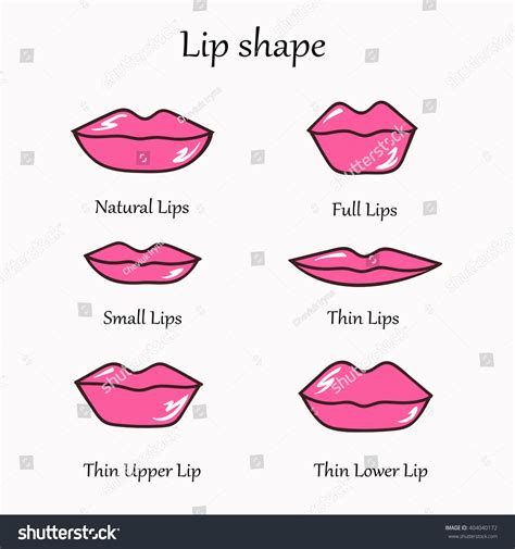 Different Types Of Lips Drawing at Patricia Furman blog