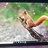 Microsoft Surface Pro 6 LGP-00015 12.3 inch Touchscreen 2-in-1 Laptop ...