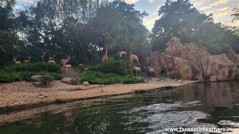 Fantastic Feathers: Rides and Fun at Disney Magic kingdom - 1 day Itinerary