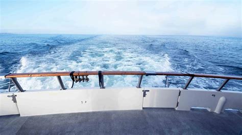 Poop Decks Explained: Everything You Need to Know!