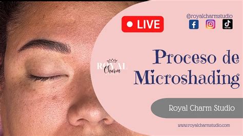 Image result for Microshading Tutorial