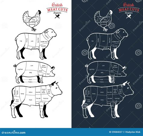 British Meat Cuts Diagrams stock vector. Illustration of label - 59084037